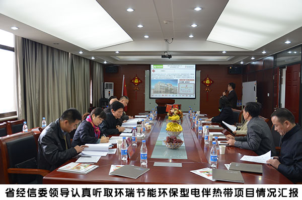省經(jīng)信委領導來環(huán)瑞考察1