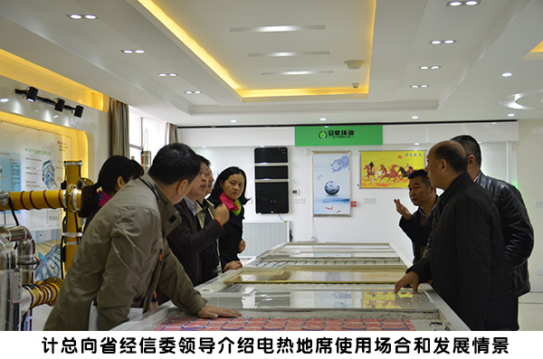 省經(jīng)信委領導來環(huán)瑞考察4