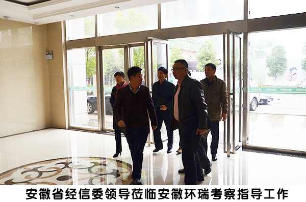 省經(jīng)信委領導來環(huán)瑞考察